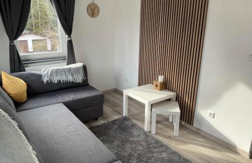 Ferienwohnung Schwarzwald Tannenzäpfle - Foto 39