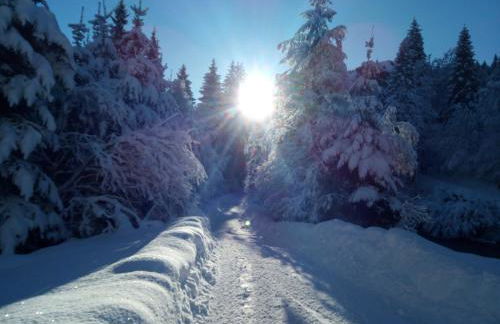 Uschi's Steinröschen mit Hallenbad und Sauna - Foto 21