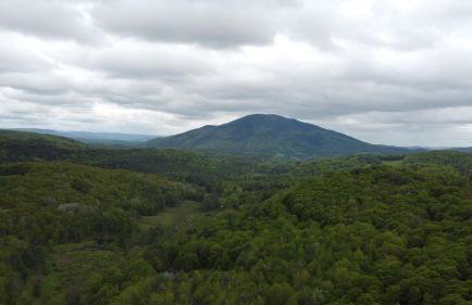 Cabin on the hill Ascutney - Foto 21
