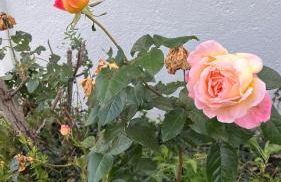 Casa Rural Can Bastida - Photo 15