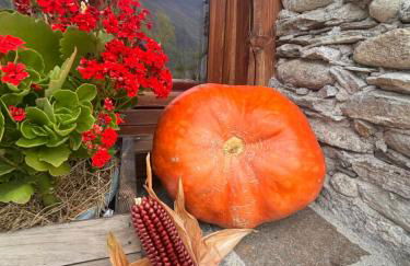 Chalet Valchiavenna - Foto 25