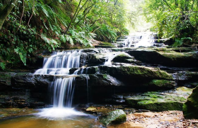 Strawberry Patch - Foto 59