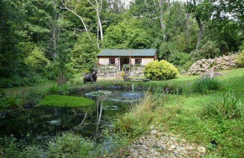 1 Bed in Flimwell oc-s30131 - Foto 1