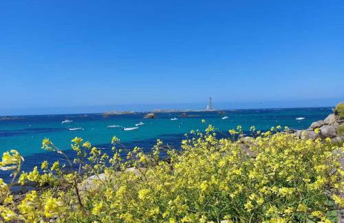 La maison des dunes - Proche plage Sainte Marguerite - Foto 47