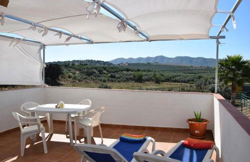 Finca Los Jacaros - Foto 22