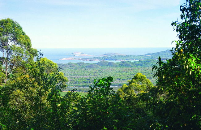 Walpole Rest Point Caravan Park - Foto 69