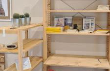 Musa Paradisiaca - Foto 23