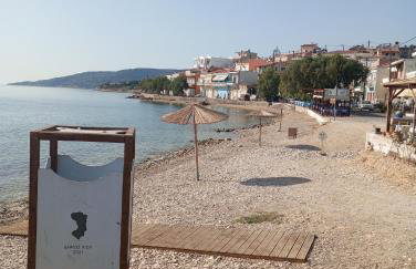 Dora's House - Photo 41