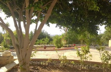 House of Polymnia - Photo 14