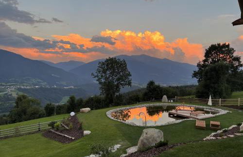 DILIA Chalets & Apartments - Foto 52