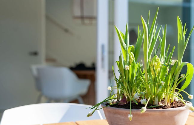 Farmhouse in Zeeland With Saltwater Pool - Photo 29