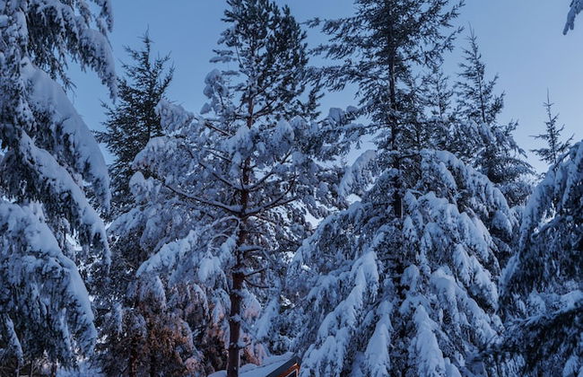 Tumba Sisli Vadi - Foto 30