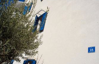 Olive Tree Apartments - Photo 38