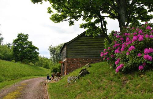 Kidcleugh Hide - Photo 10