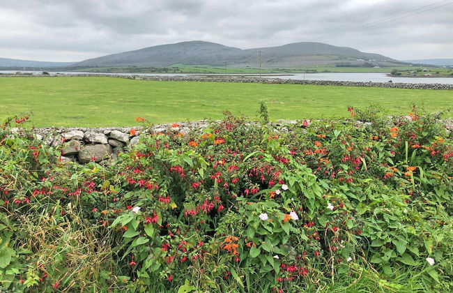 KINVARA SUITES - Foto 12