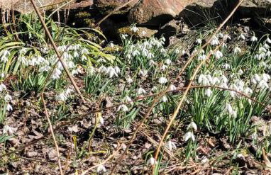 Blick In Den Garten - Foto 14