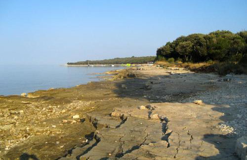 Family friendly house with a swimming pool Barbariga, Fazana - 22763 - Photo 6