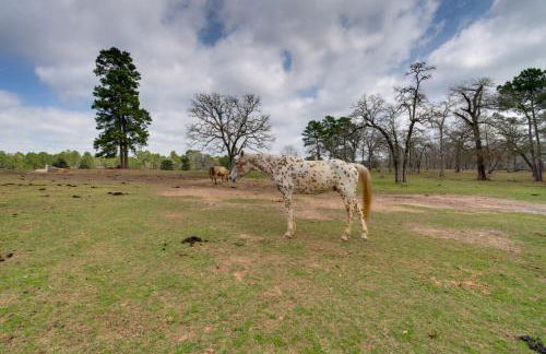 Tranquil Plantersville Cabin Farm Animals On-Site - Foto 24