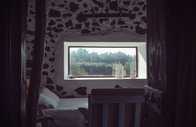 Quinta de São Braz - Foto 9