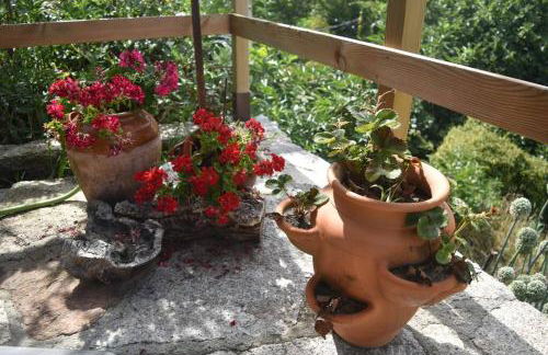 Casinha Estrela da Encosta - Gerês - Foto 33