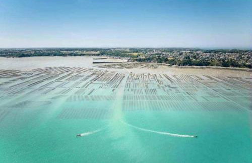 MRODBNB - Maisonnette Atypique enfouie dans la Roche - Gr34, Plage, Resto & Huîtres à 25m - Photo 17