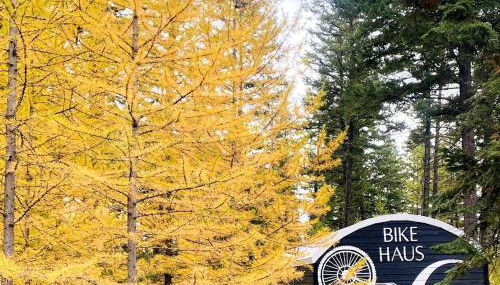 Cabin 6 The BIKE HAUS - Foto 3