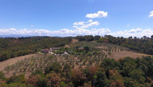 Podere La Casuccia - Foto 3, Garden view