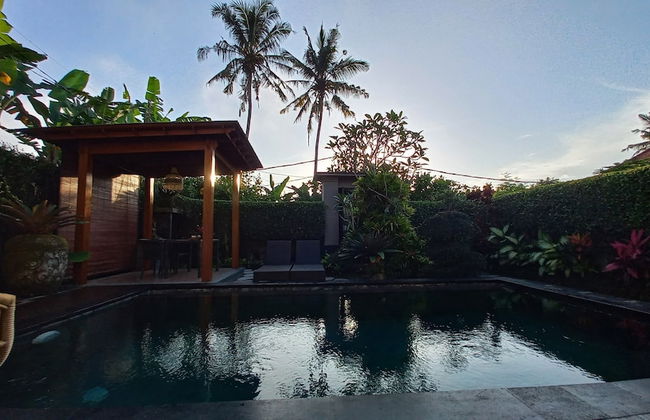 Ubud Paradise Villa - Photo 78