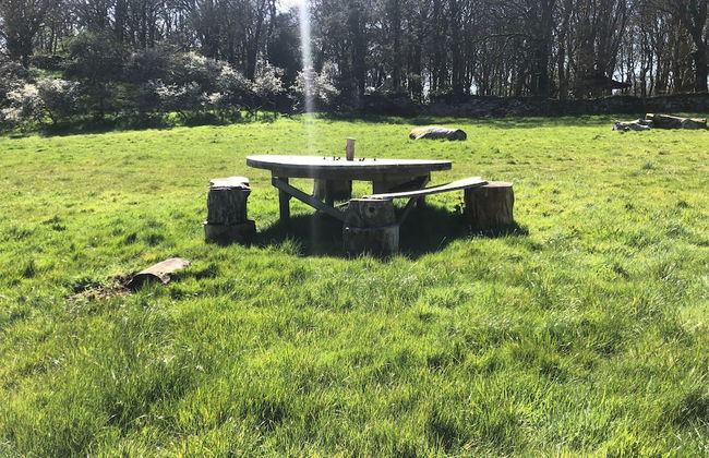 Elm - Bell Tent 2-4 Person Anglesey, North Wales - Photo 28