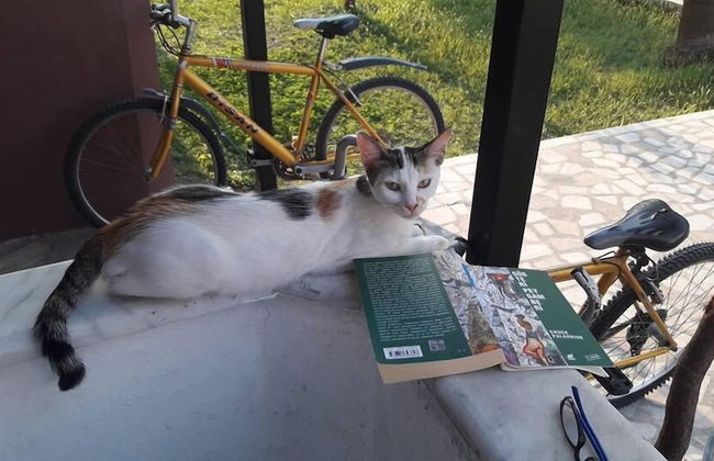 Erasmus Apart Hotel - Foto 32