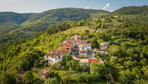 Holiday Home Belveder Motovun with heated pool - Foto 5