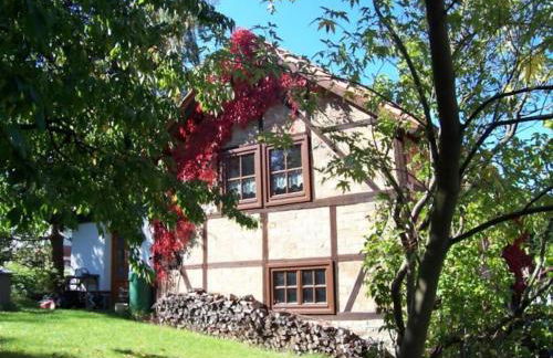 Ferienhaus Harz - Foto 1