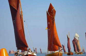 Baltic Lagoon Resort direkt am Meer - Foto 42