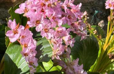 The Garden Barn, Manuden nr Stansted - Foto 18