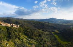 Castello Ginori Di Querceto - Foto 78