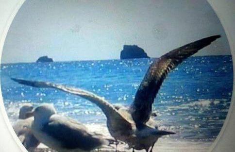 Paradiso in riva al mare - Foto 37