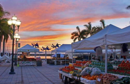 Wake Up to Waves - Oceanfront Condo - 2 BD-2BA - Foto 32