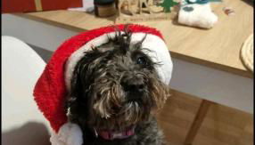 Disfrutando la zona - Photo 5