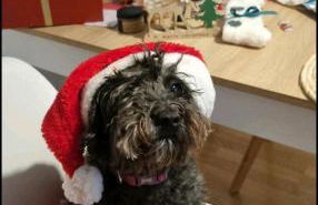 Disfrutando la zona - Photo 5