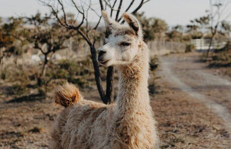 Paradise Ranch - Foto 26