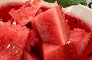 JUNKEIRA - Casa, Douro e Campo - Foto 35