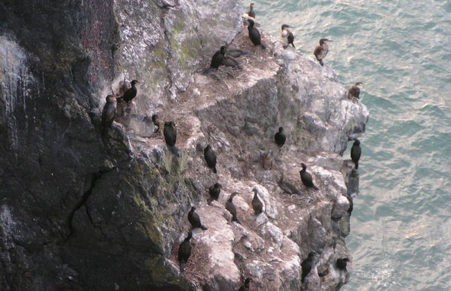 Pen Llyn Quarryman's Cottage - Photo 7