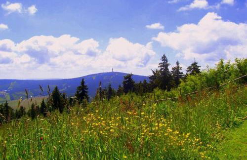 Ferienwohnung-Panoramablick - Foto 16