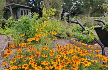 Dromore House Historic Country house - Foto 7