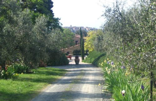 Podere La Casetta - Casa di Campagna - Foto 30