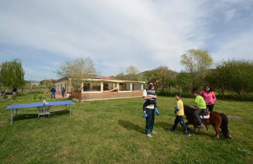 Agriturismo Terra Di Elea azienda agricola di Raimondo MIchela - Foto 43