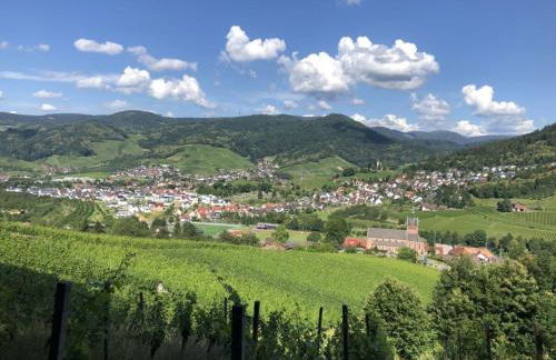 Azuria Black Forest Loft - Photo 30