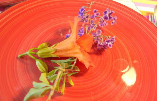 Casa al mare - Foto 7