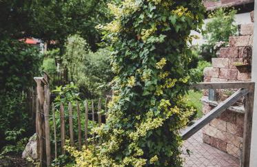 Ferienwohnung Traudl - Foto 6