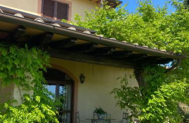 AGRIFOGLIO - Photo 35